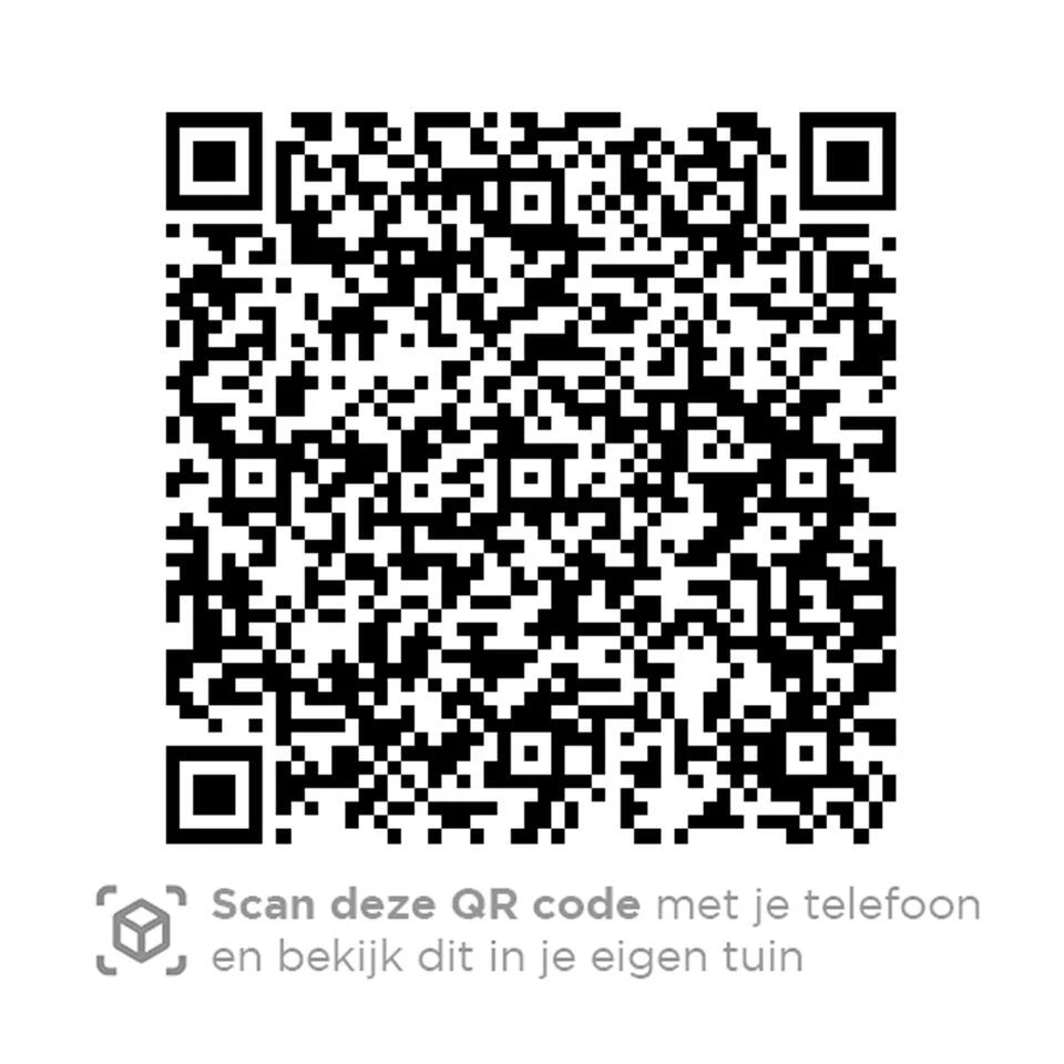 4 Seasons Outdoor Bernini Tuinstoel - Platinum - Afbeelding 3